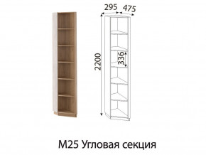 М25 Угловая секция в Волчанске - volchansk.магазин96.com | фото