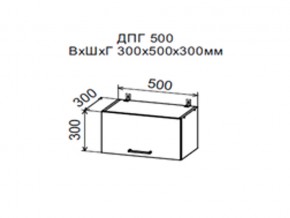 Шкаф верхний ДПГ500 горизонтальный в Волчанске - volchansk.магазин96.com | фото