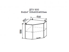 Шкаф верхний ДПУ600 угловой в Волчанске - volchansk.магазин96.com | фото